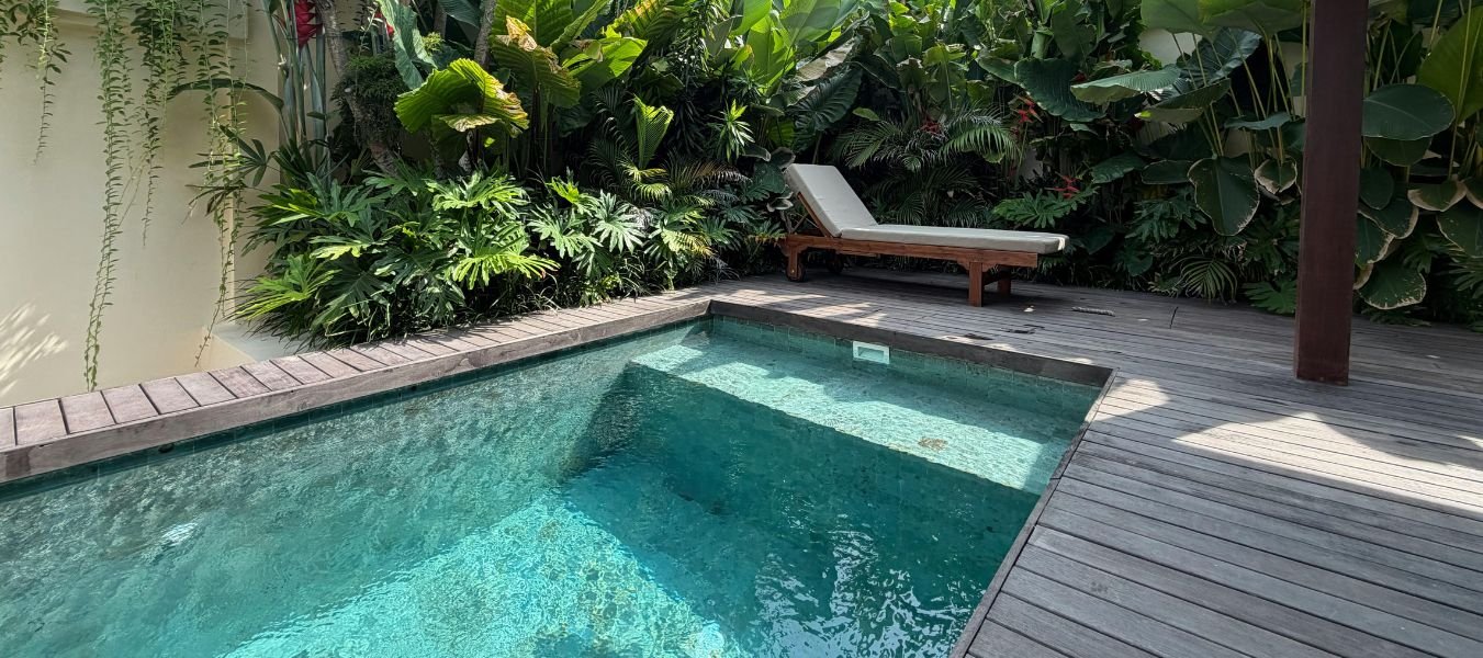 Best Backyard Privacy Solutions for Pool Owners in Florida